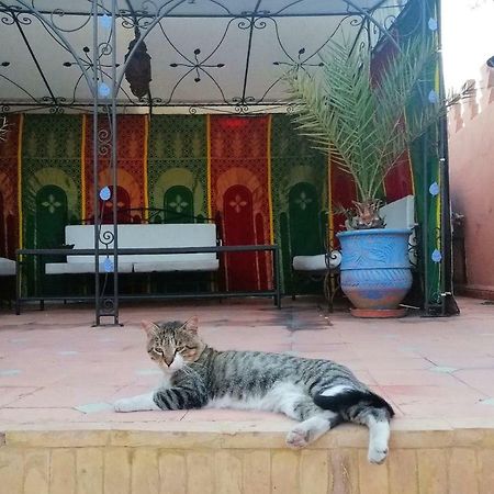 Riad Araba Felice Марракеш Экстерьер фото