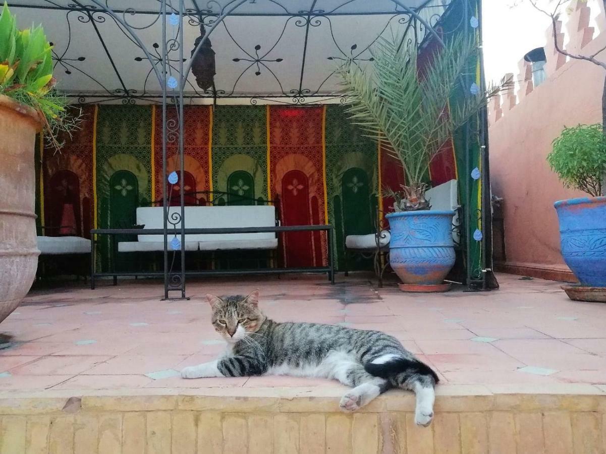 Riad Araba Felice Марракеш Экстерьер фото